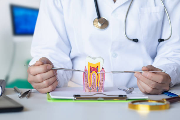 Best Emergency Wisdom Teeth Removal in Spruce Pine, NC